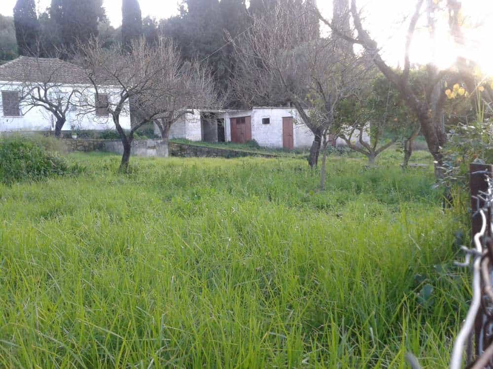 بيت في بوشالي, ايونيا نيسيا 10086949