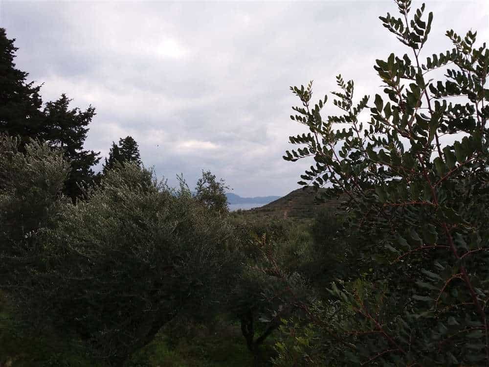 Land in Argasi, Ionia Nisia 10087678