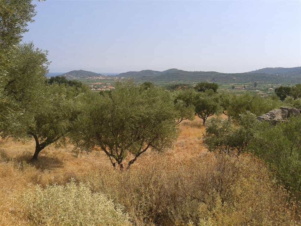 Land in Zakynthos, Zakinthos 10087695