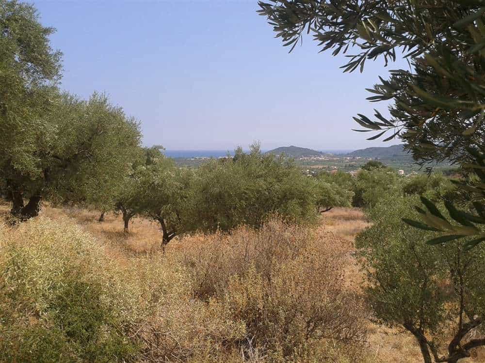 Land in Zakynthos, Zakinthos 10087695