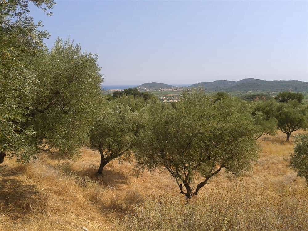 土地 在 Zakynthos, Zakinthos 10087695