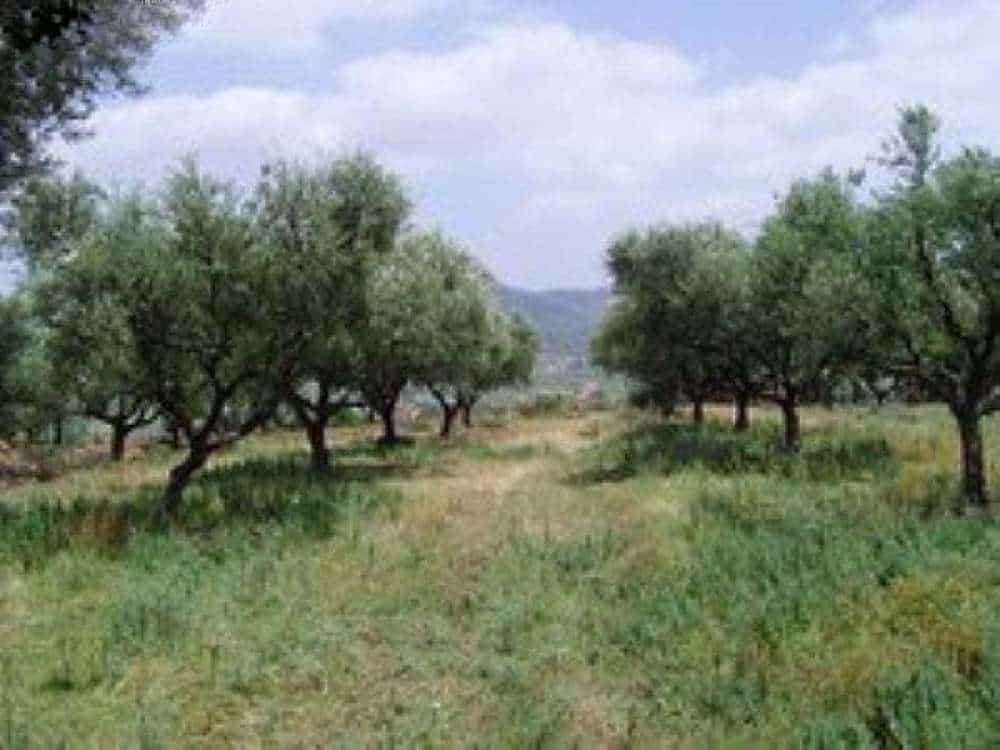 Tanah dalam Katastari, Ionia Nisia 10087756