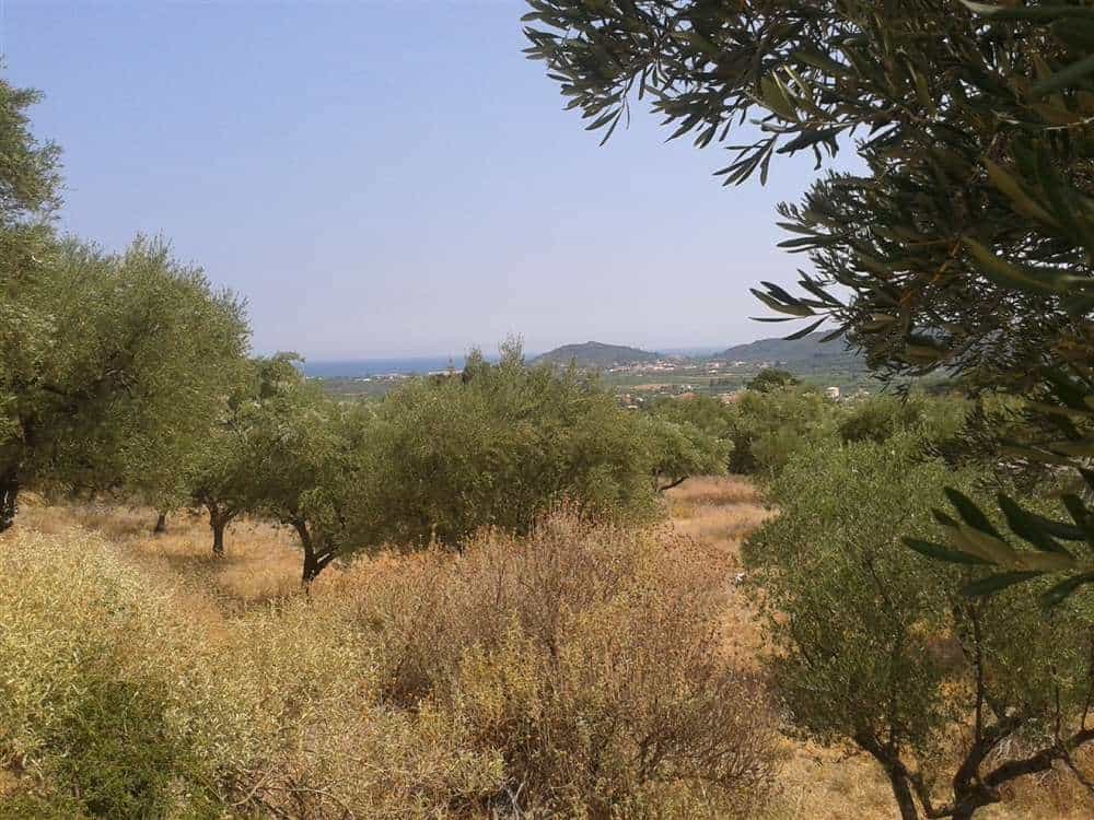 Tanah di Zakynthos, Zakinthos 10087756
