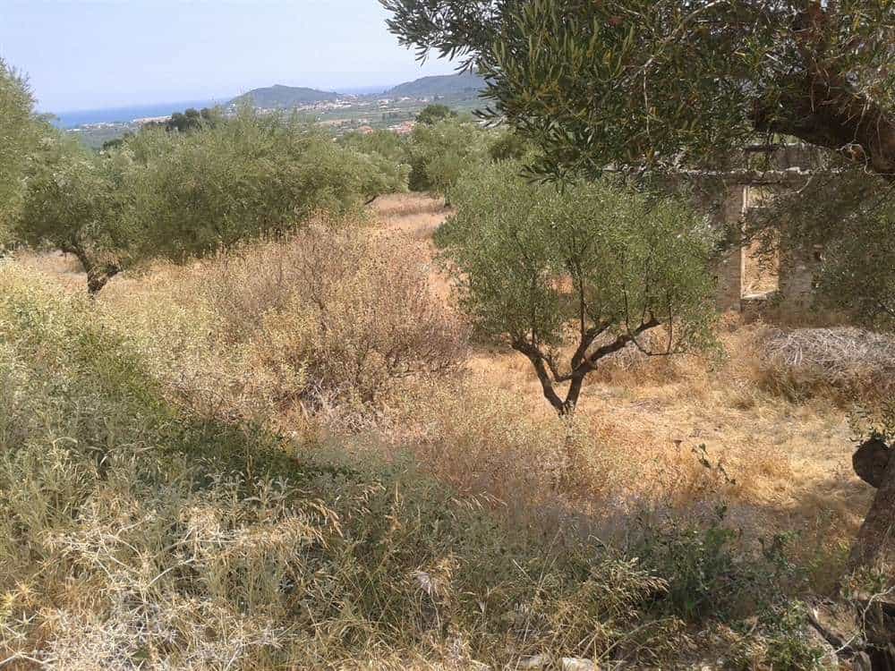 Tanah di Zakynthos, Zakinthos 10087756