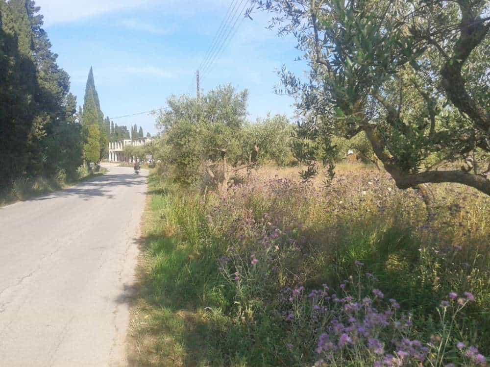 Tanah dalam Agios Kirykos, Ionia Nisia 10087801