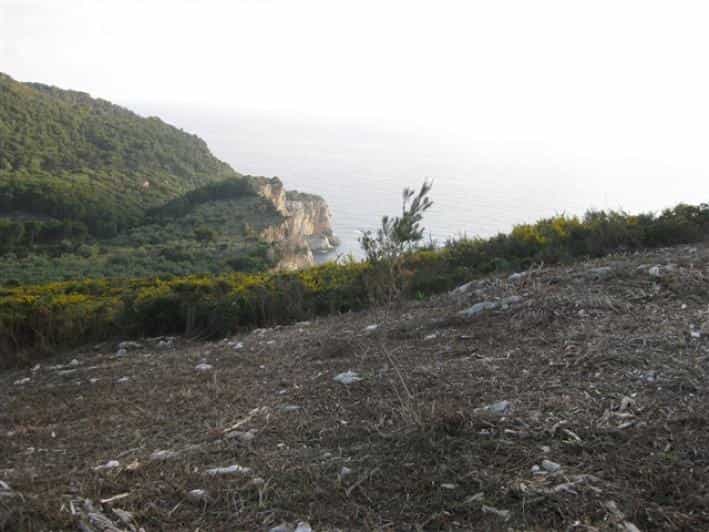 Land in Gaitani, Ionia Nisia 10087809