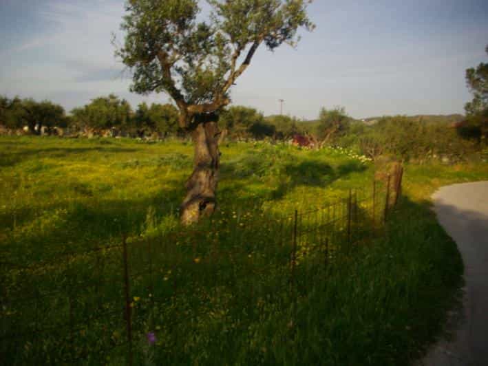 Land in Ampelokipoi, Ionia Nisia 10087833