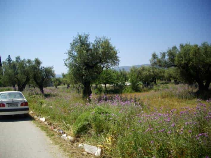 Land in Zakynthos, Zakinthos 10087900