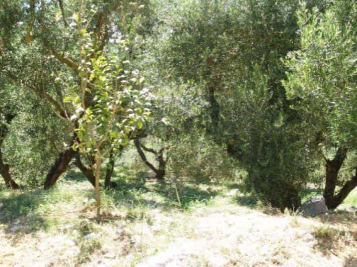 Tanah dalam Argasi, Ionia Nisia 10087902