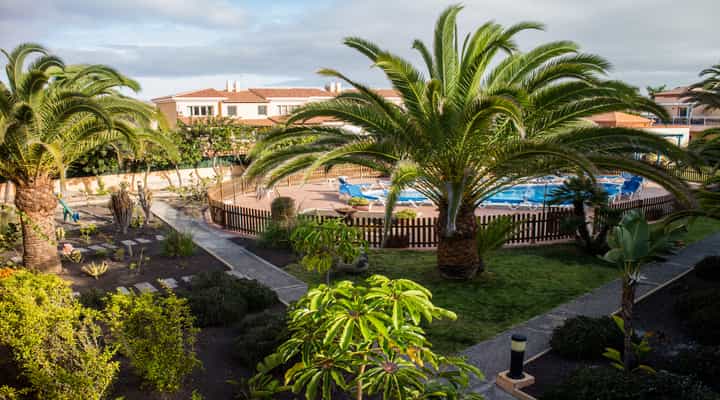 Condominium in Corralejo, Canary Islands 10089022