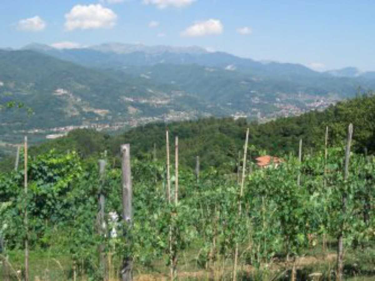 Ejerlejlighed i Barga, Tuscany 10094121