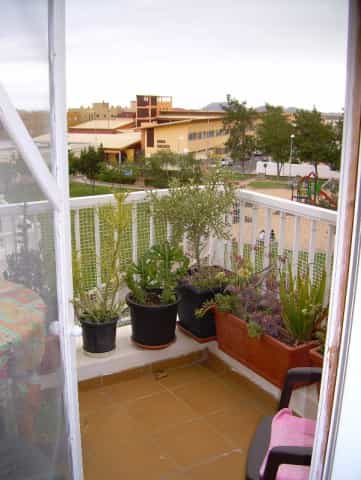 公寓 在 Aldea Blanca del Llano, Canary Islands 10094341