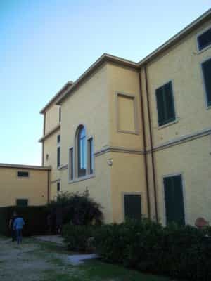 सम्मिलित में Castagneto Carducci, Tuscany 10094443
