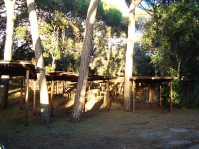 Condominio en Castagneto Carducci, Tuscany 10094443