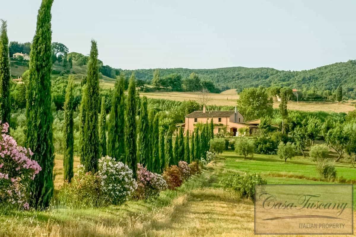 House in Riparbella, Tuscany 10094649