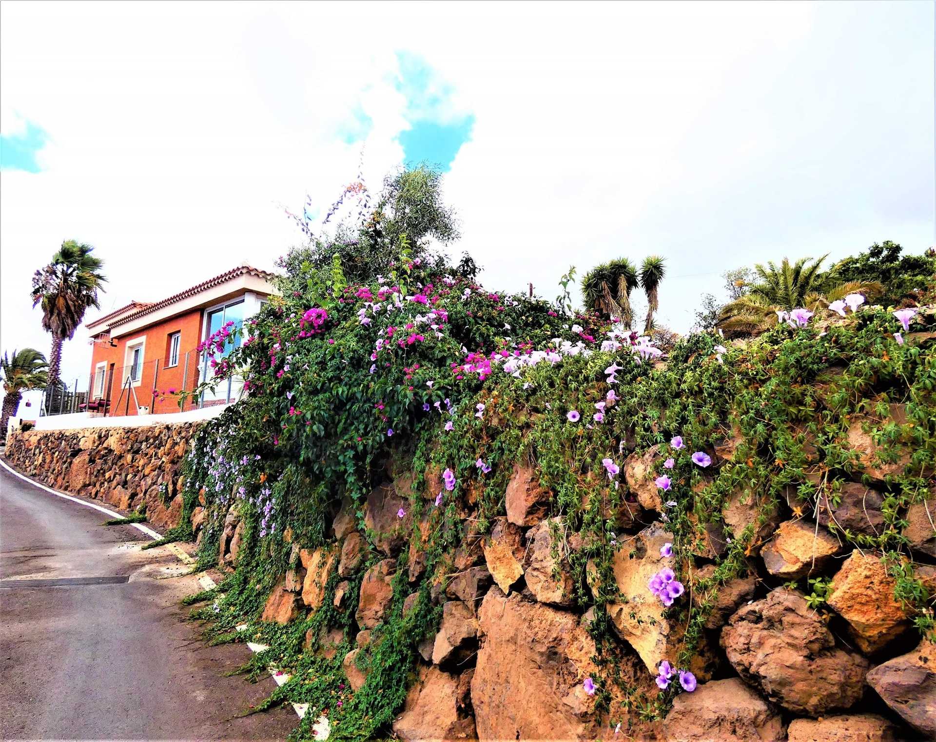 casa en San Miguel de Abona, Tenerife 10094948