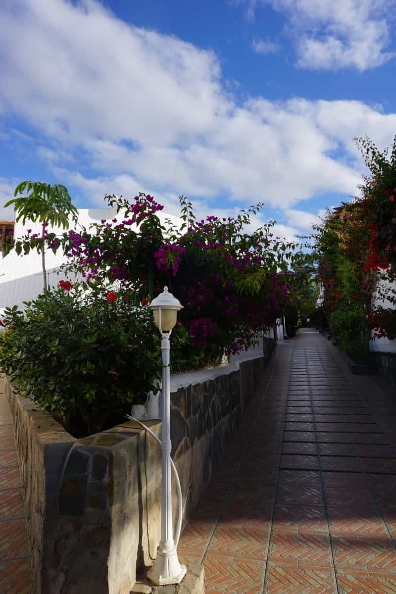 Будинок в Arona, Tenerife 10095009
