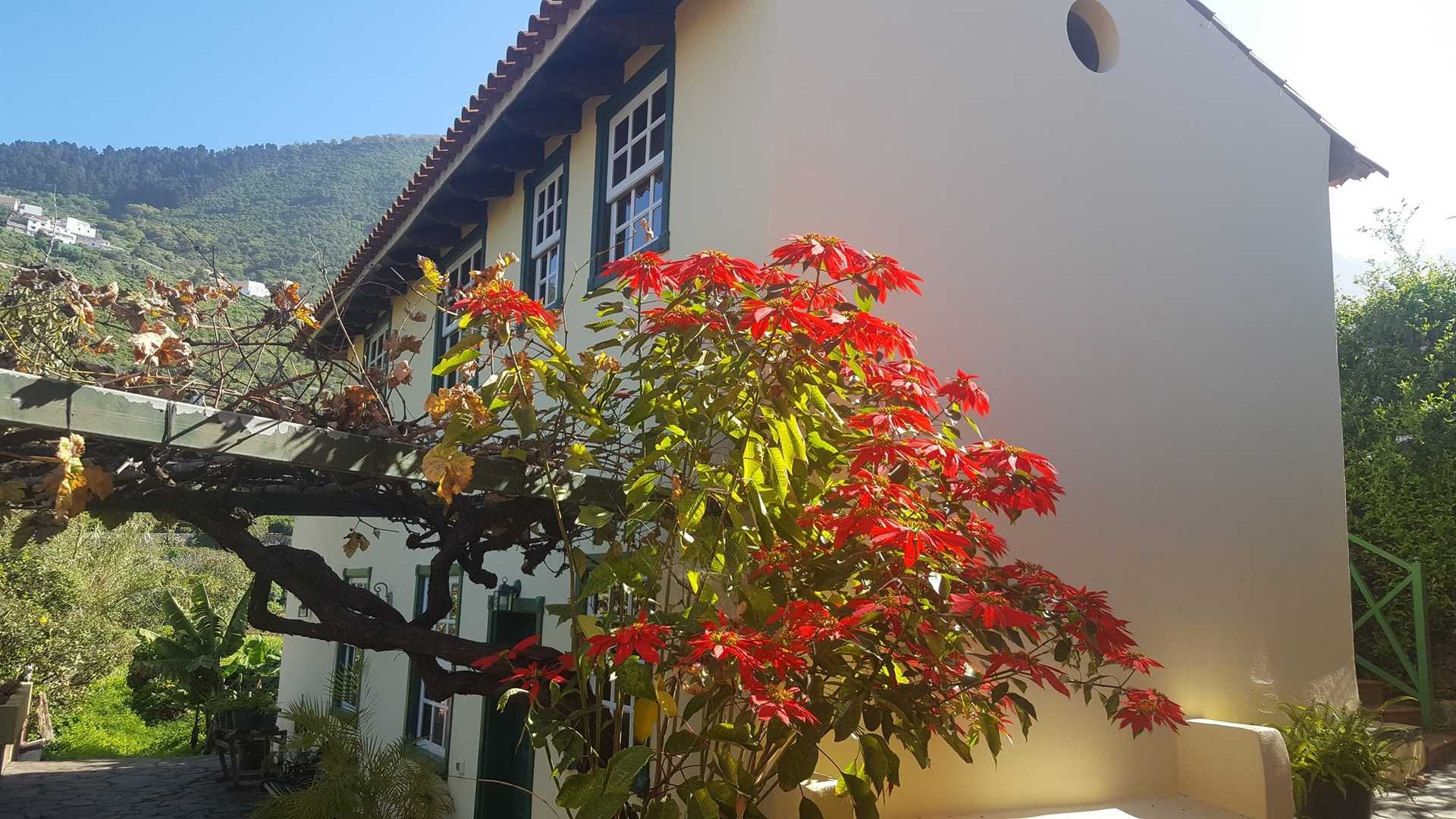 House in La Orotava, Tenerife 10095091