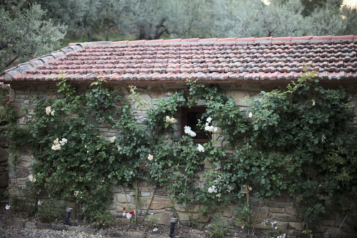 Talo sisään Castiglion Fiorentino, Tuscany 10095098