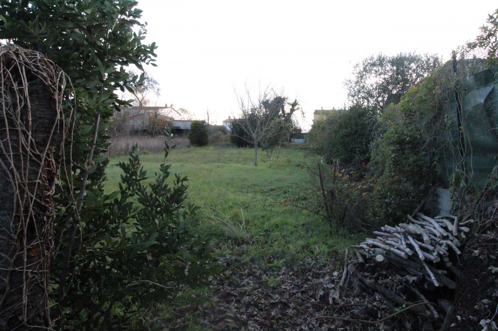Tanah dalam Pieusse, Occitanie 10096586
