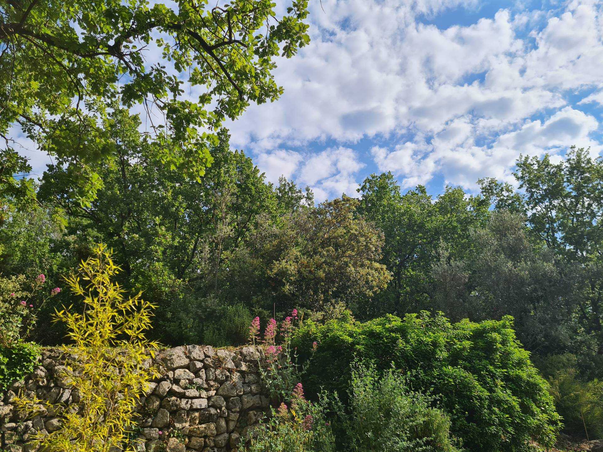 Land in Callas, Provence-Alpes-Cote d'Azur 10097846