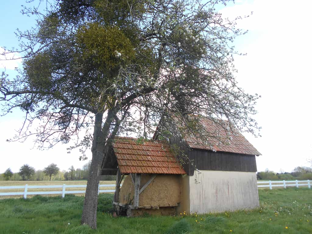 σπίτι σε Isigny-le-Buat, Νορμανδία 10097930