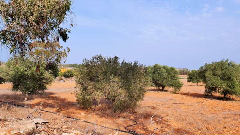 Land in Ayia Napa, Famagusta 10099041