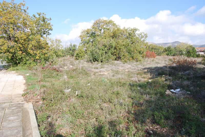 Tanah dalam Tremitousa, Pafos 10099876
