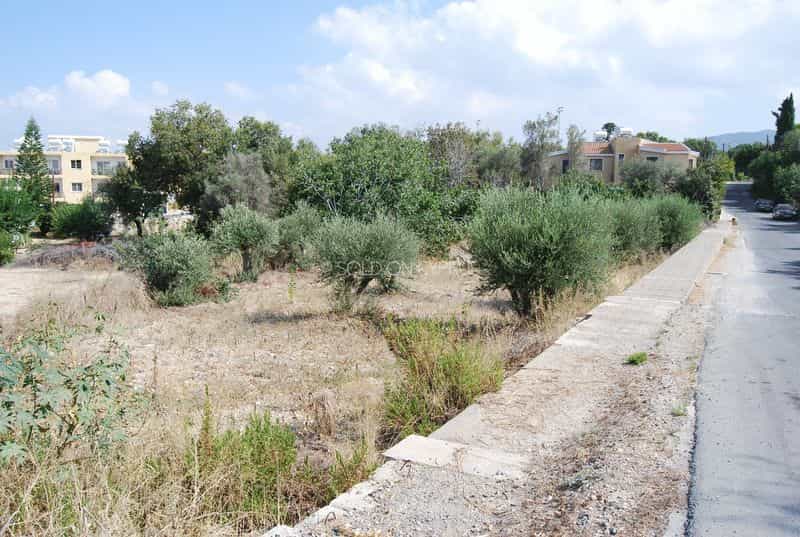 Terre dans Kissónerga, Paphos 10099998