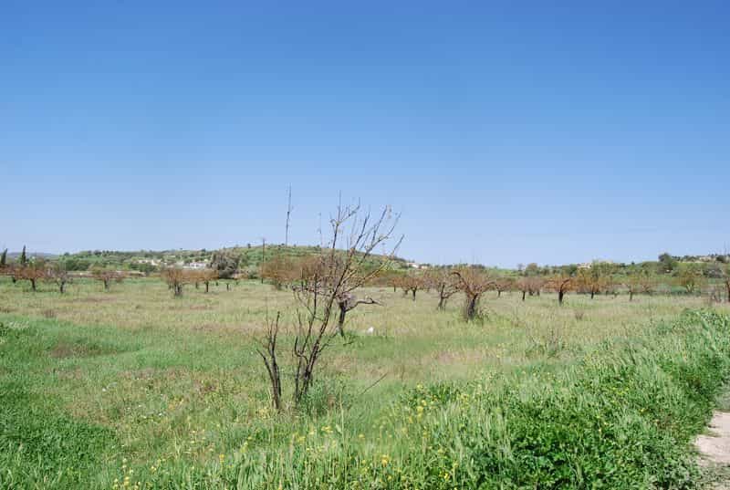 Tanah dalam Mesogi, Pafos 10100078