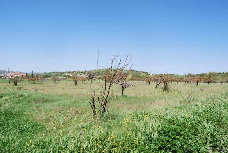 Tanah dalam Mesogi, Pafos 10100078