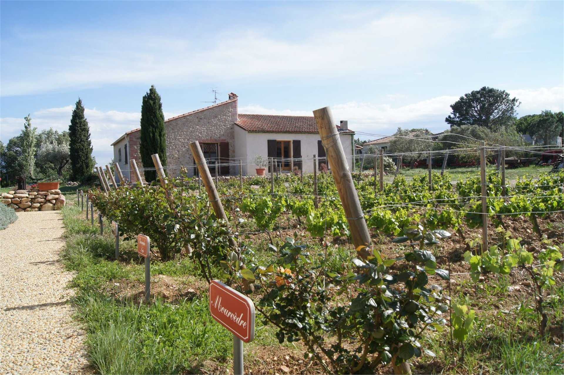 жилой дом в Thuir, Languedoc-Roussillon 10100540