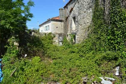 Andere im Charme, Poitou-Charentes 10100796
