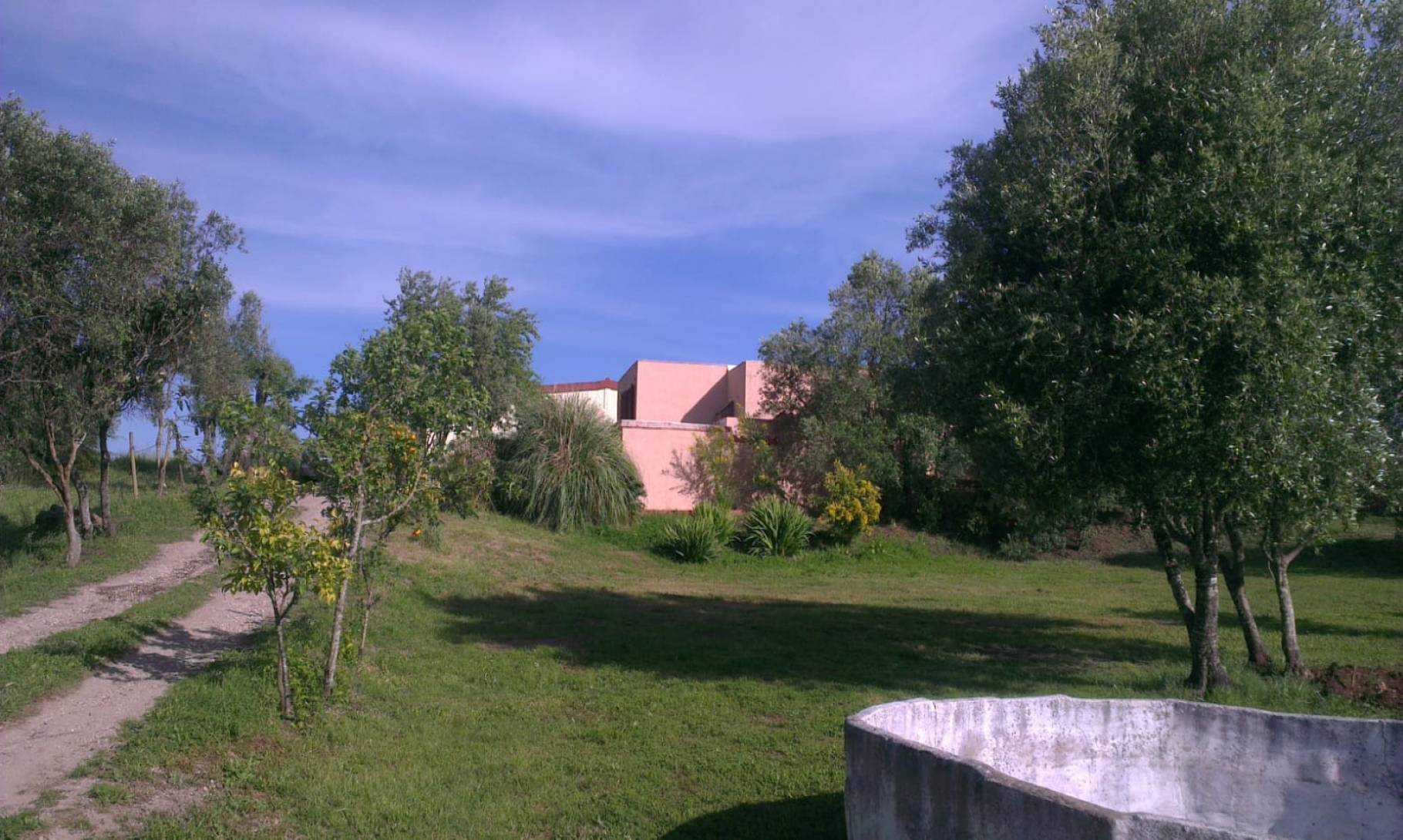 Будинок в Барао-де-Сан-Жоао, Фару 10100844