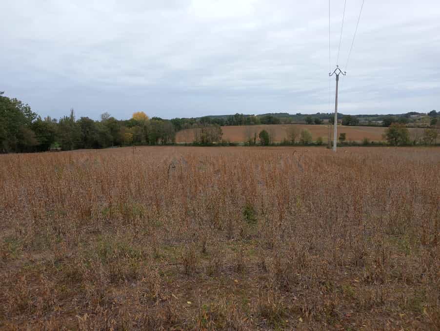 Land in Villereal, Nouvelle-Aquitaine 10101086