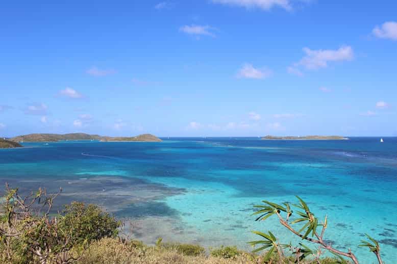 Tierra en bahía de coral, Islas Virgenes 10101718