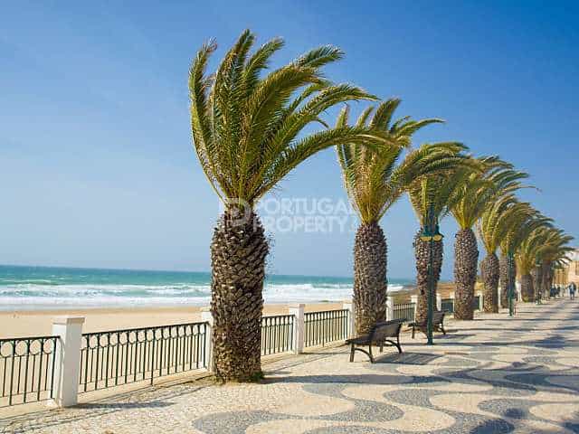 Land im Lagos, Algarve 10102014