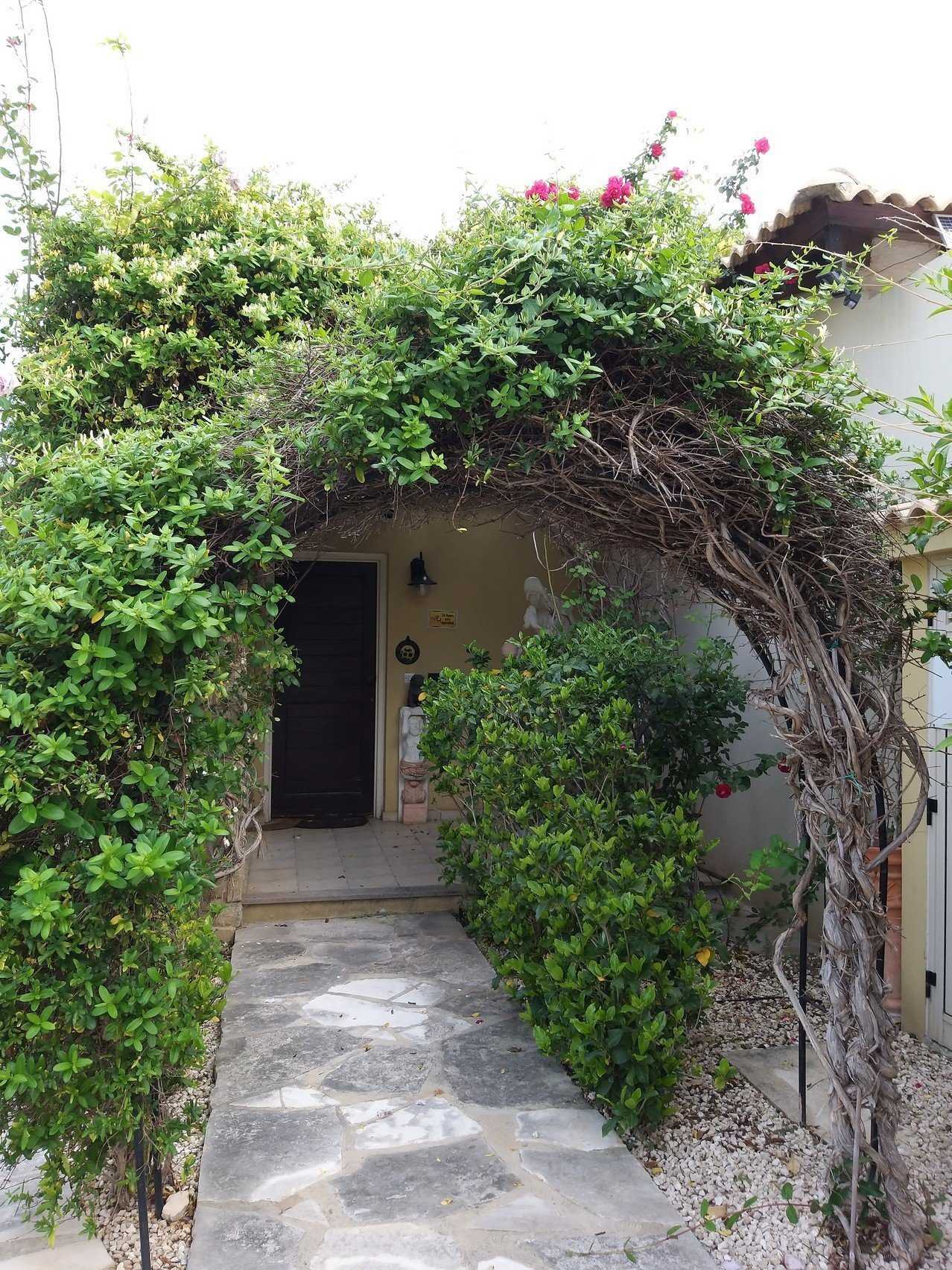 Dom w Kouklia, Paphos 10112780