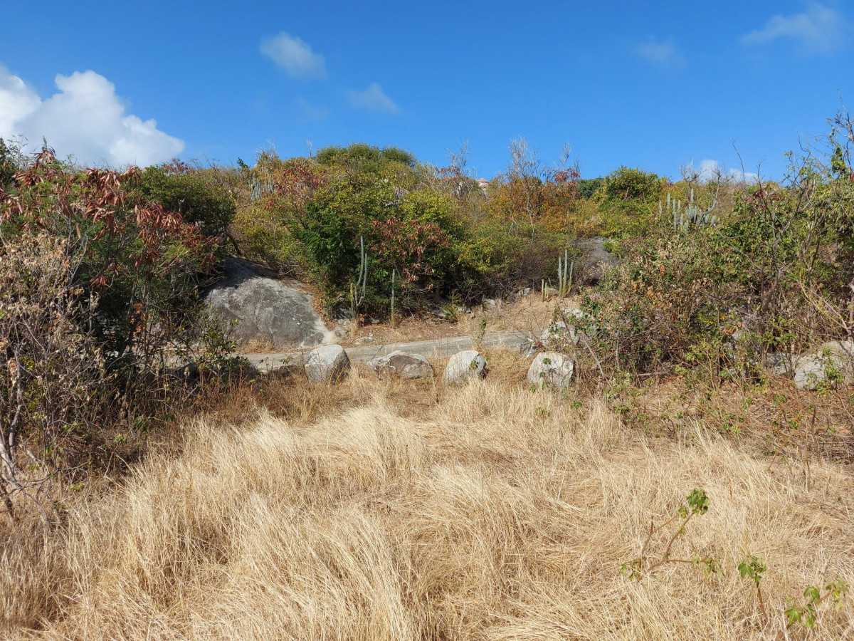 Кондоминиум в Корал Бэй, Виргинские острова 10115036