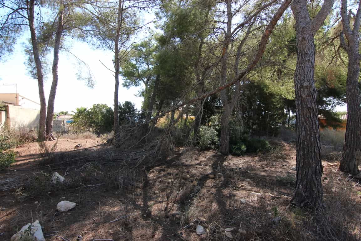 Tanah dalam Pedramala, Valencia 10115244