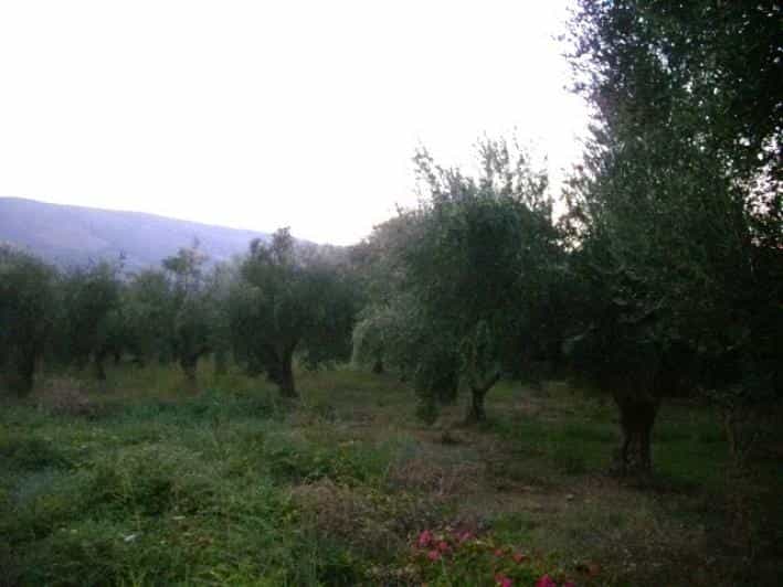 Tanah dalam Bochali, Ionia Nisia 10115978