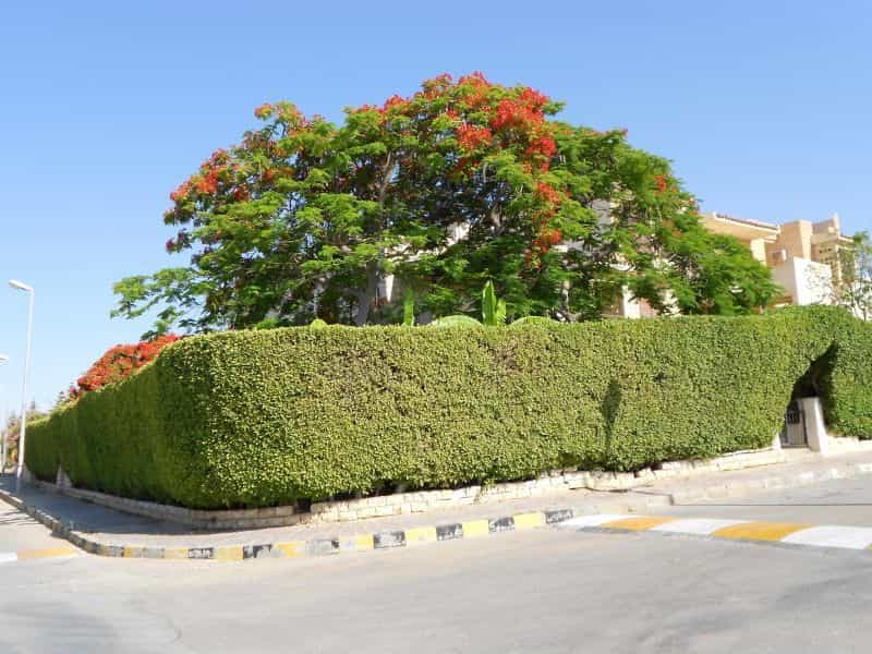 Dom w El-Alamein, Matrouh Governorate 10116179