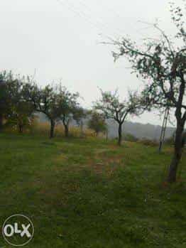 Land in Feteni, Valcea 10116315