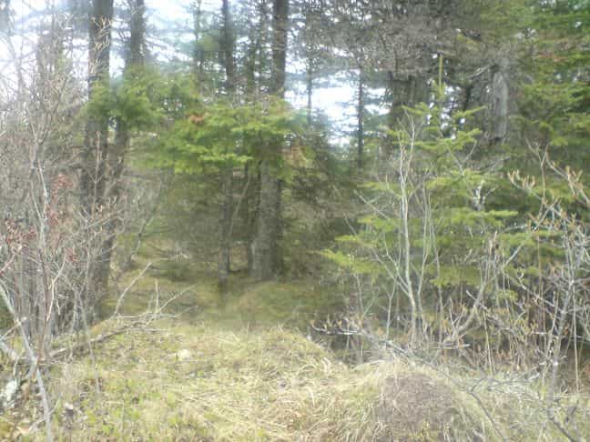 Land in Caribou Marsh, Nova Scotia 10116429