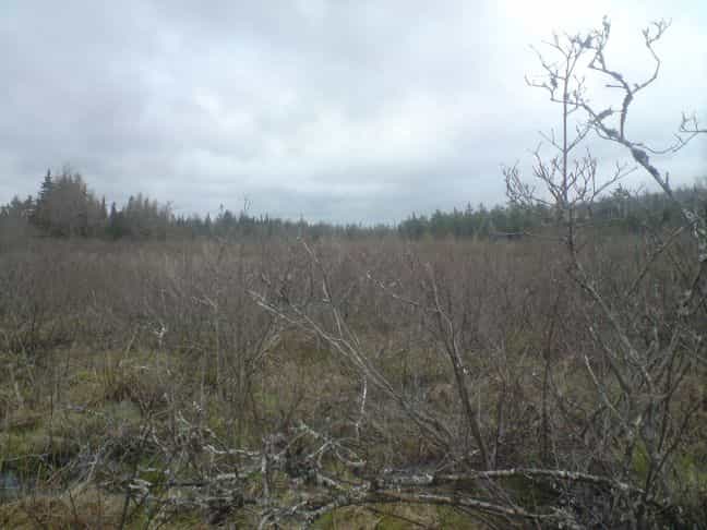 ארץ ב Caribou Marsh, Nova Scotia 10116429