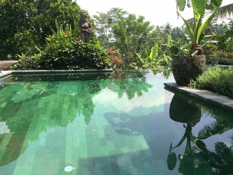 Talo sisään Ubud, Bali 10116438