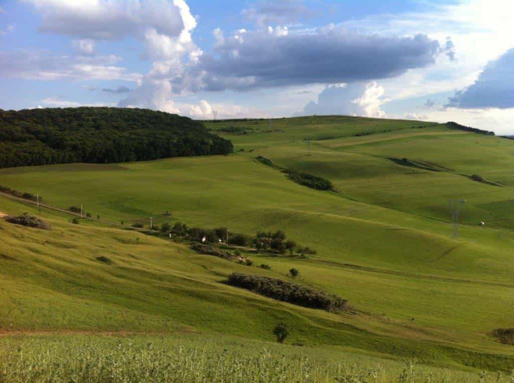 Tanah dalam Zau de Câmpie, Mureș County 10116476