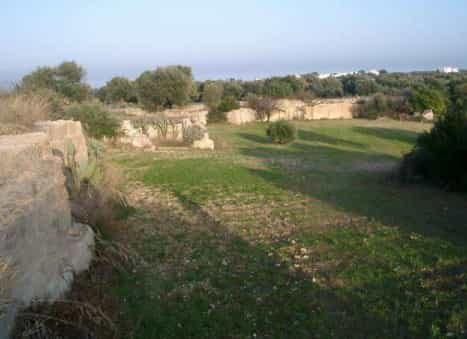 Tanah dalam Monopoli, Puglia 10116654