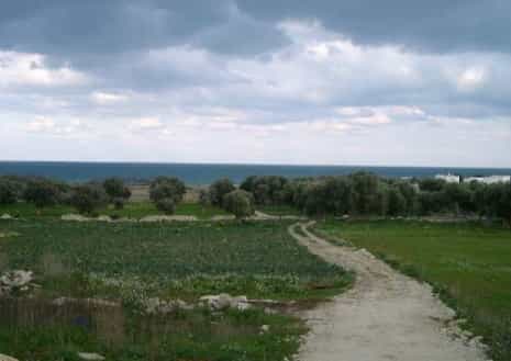 土地 在 Lamandia, Puglia 10116654