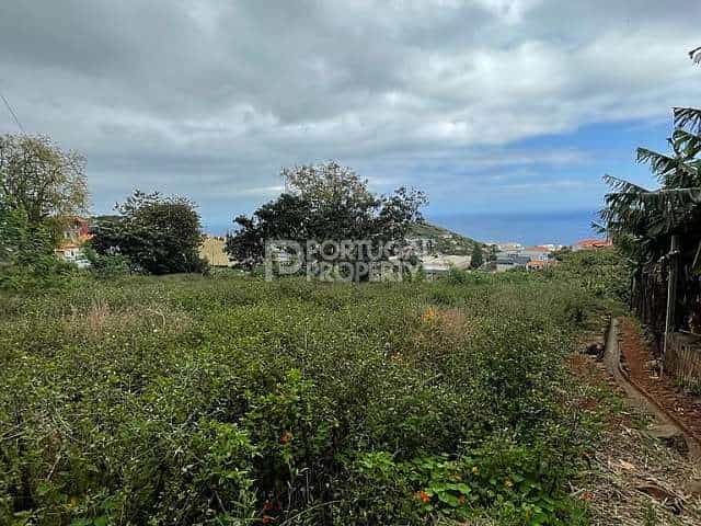 Tanah di Sao Roque, Madeira 10116787